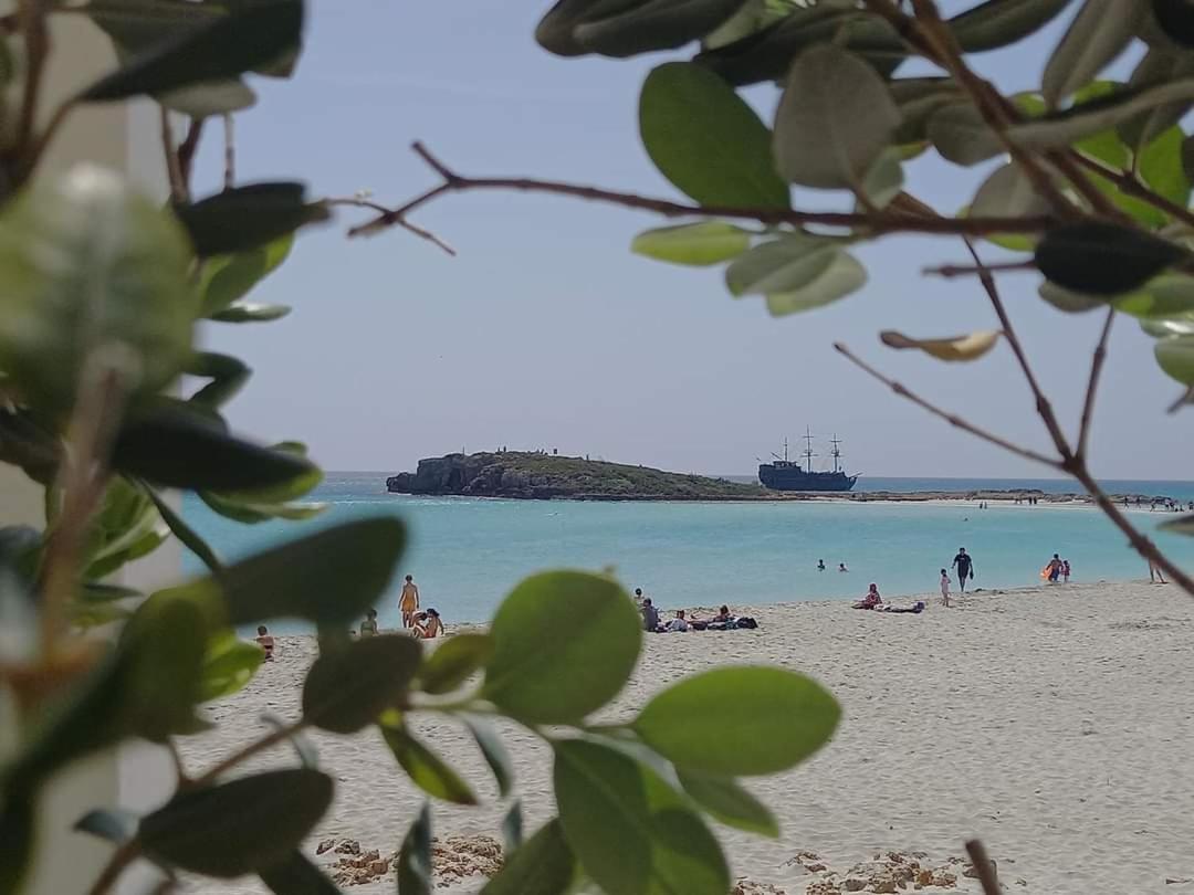 Nissi Golden Sands Sea View 2 Bedroom Apartment Ayia Napa Bagian luar foto