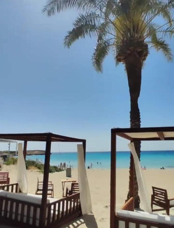 Nissi Golden Sands Sea View 2 Bedroom Apartment Ayia Napa Bagian luar foto